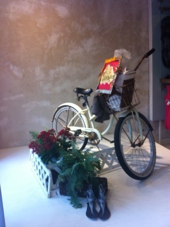 Dear Diary Shop Window