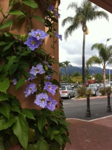 Beautiful Santa Barbara